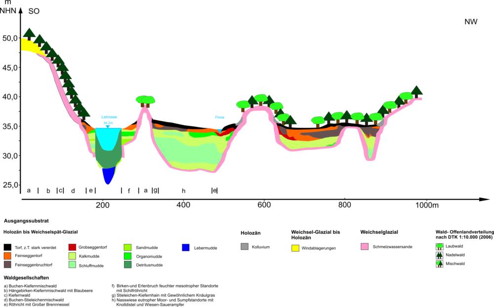 Abb. 16: Geoökologische Übersicht des Lehnsee-Beckens nach Berendt 1882, LBGR 2012 und LfB 2005, zusammengestellt von Axel Heise Abb. 16: Geoökologische Übersicht des Lehnsee-Beckens nach Berendt 1882, LBGR 2012 und LfB 2005, zusammengestellt von Axel Heise