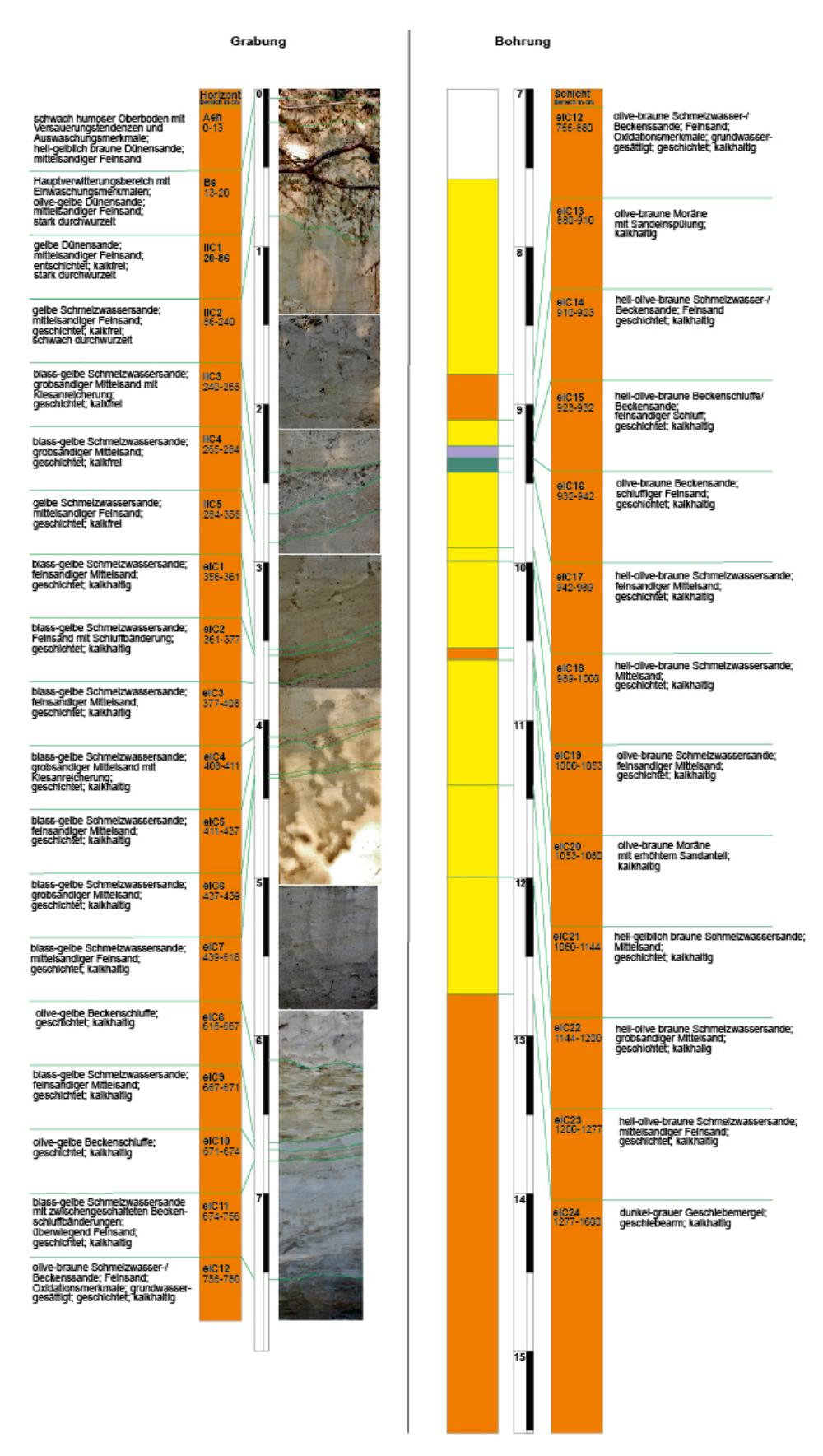 Abb. 37: Neuaufnahme des Typusprofils Heidenberg (Zeichnung Axel Heise)