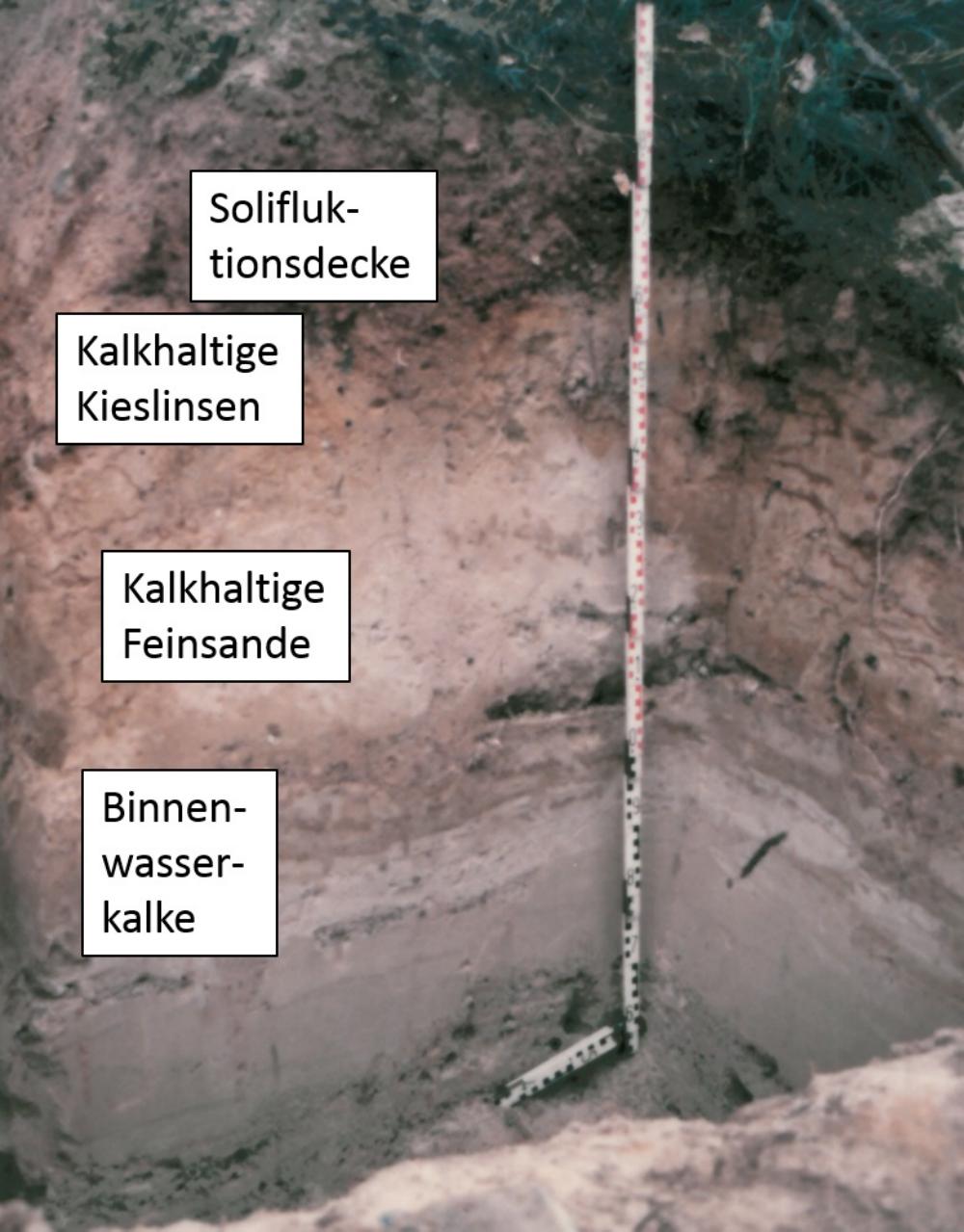 Abb. 29: Binnenwasserkalke mit hangenden weiteren Periglazialschichten