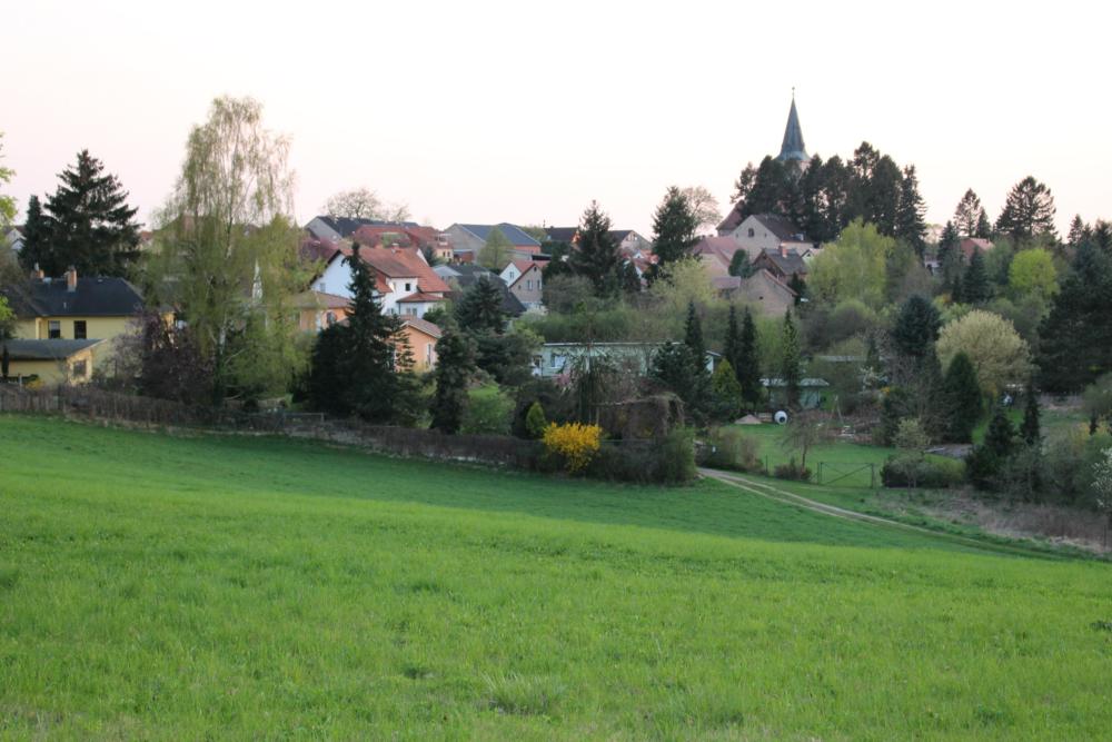 Abb. 21: Blick über die Hänge mit in vorzeitlichen Seen gebildeten Kalksanden auf das Zentrum von Biesenthal