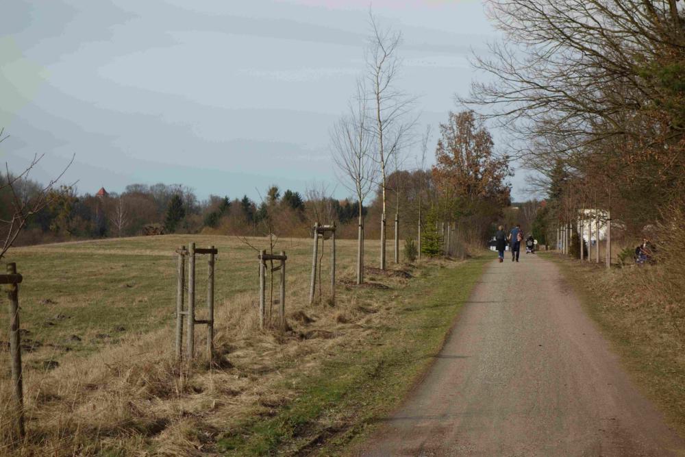 Abb. 23: Arboretum am Wanderparkplatz Langerönner Weg