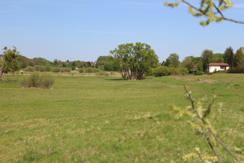 Abb. 24: Blick vom Hochsitz in den Pfauenwiesen nach Norden
