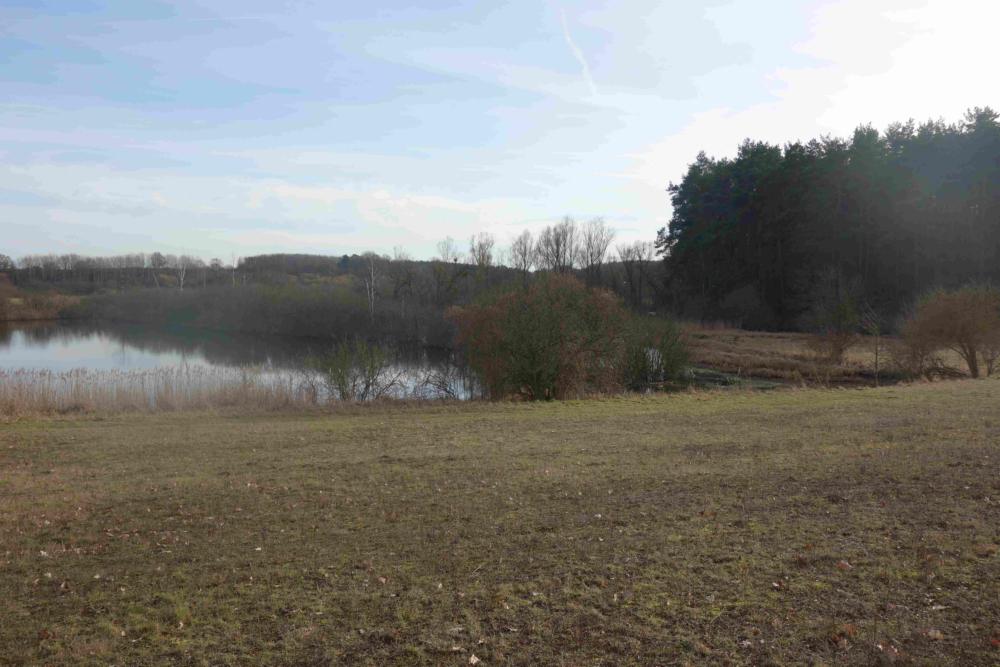 Abb. 26: Altes Torfstichbecken