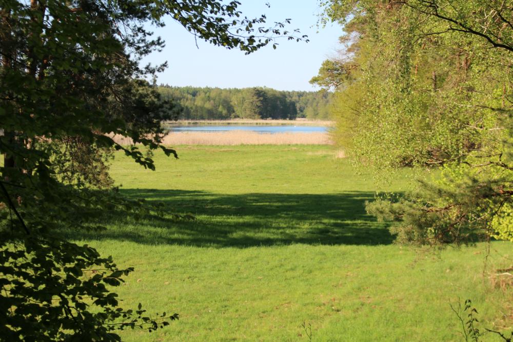 Abb. 14: Blick auf den Lehnsee von Station 3 südlich des Sees